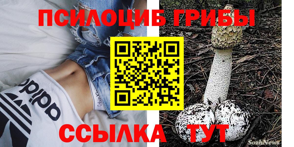 Боровичи  Псилоцибиновые грибы Magic Shrooms  Вход с VPN 
